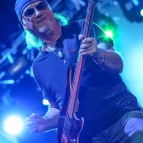 DeepPurple2014_017.jpg